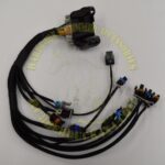 Engine Wire Harness 00-03